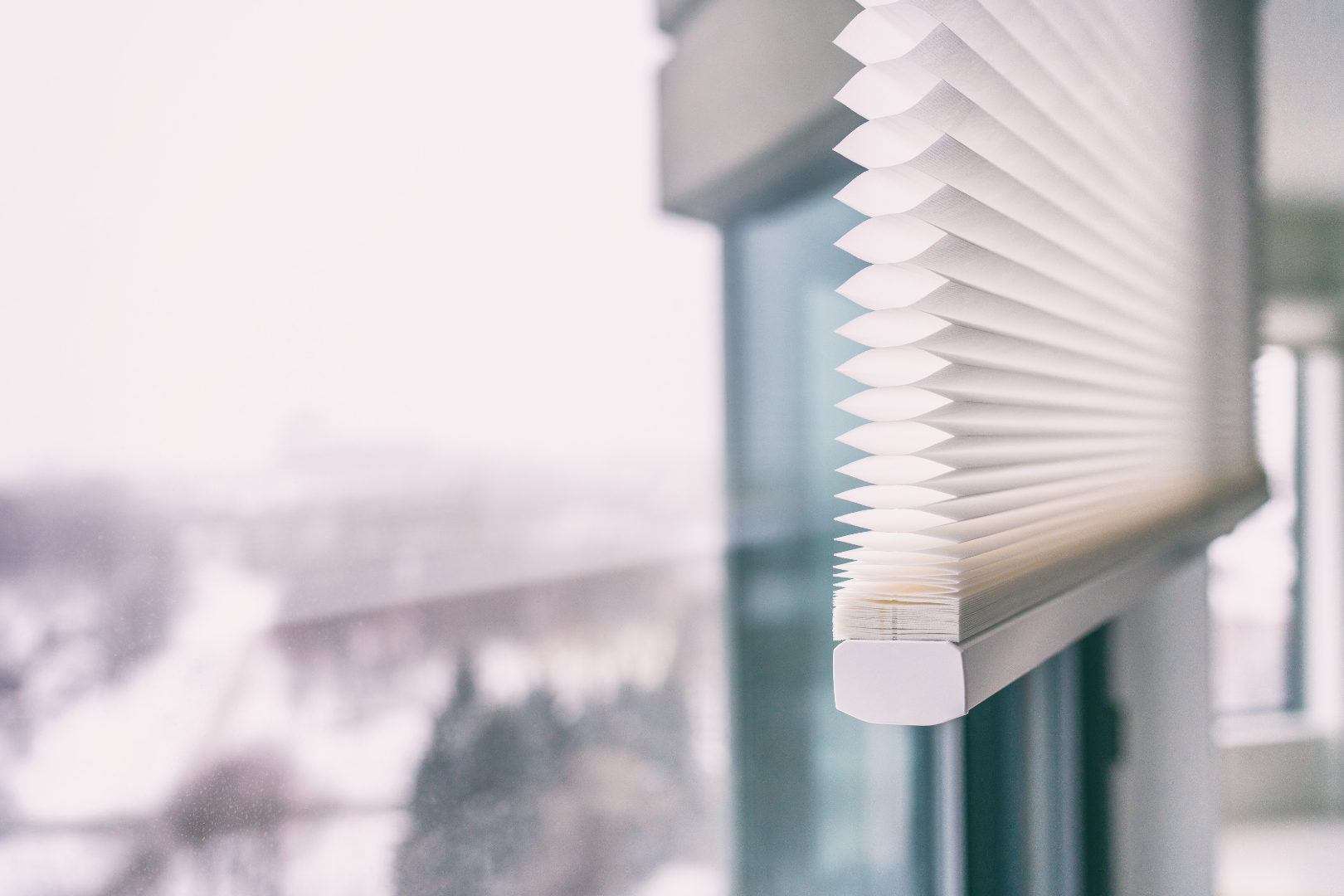 Honeycomb Roller Blinds