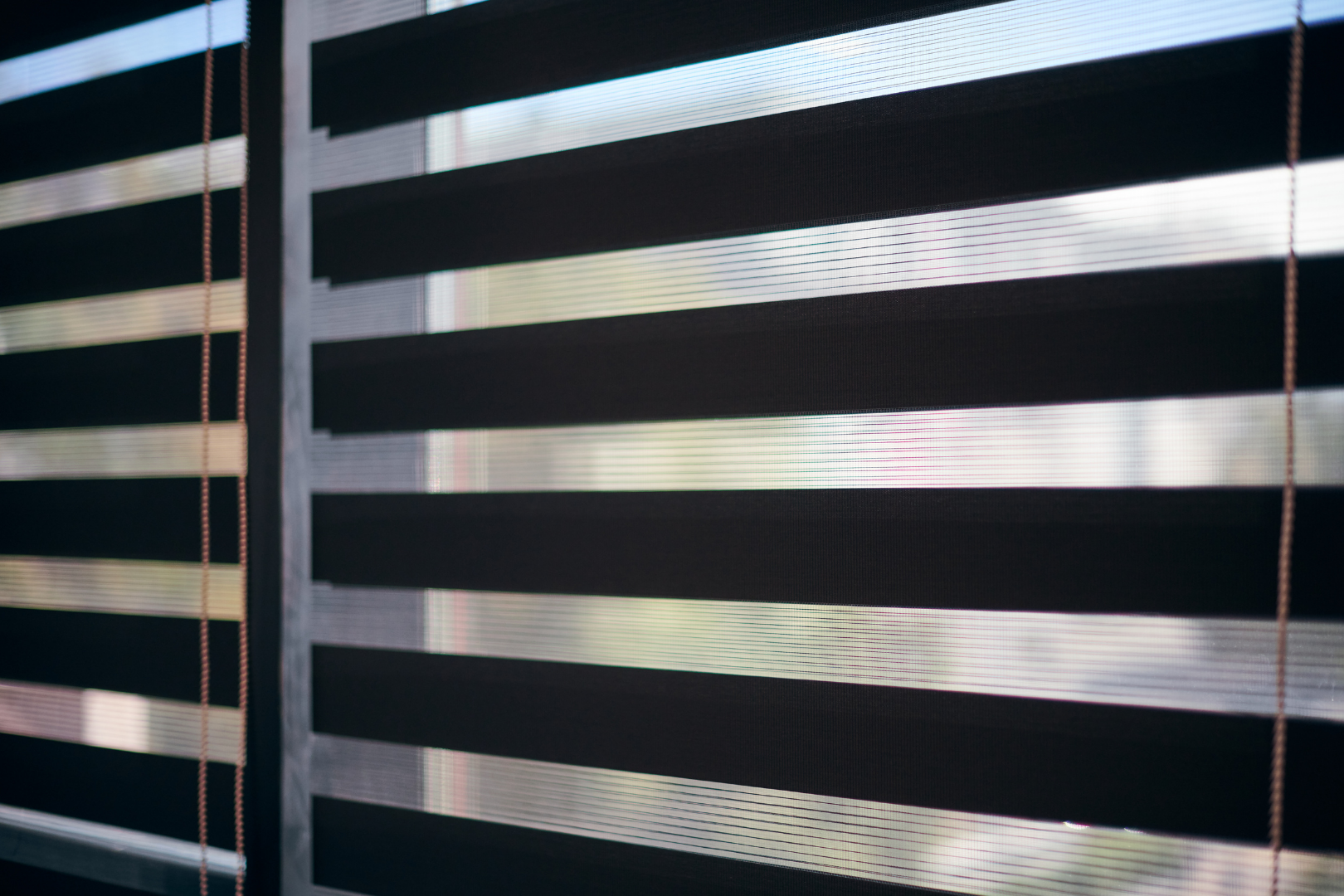 Zebra Blinds